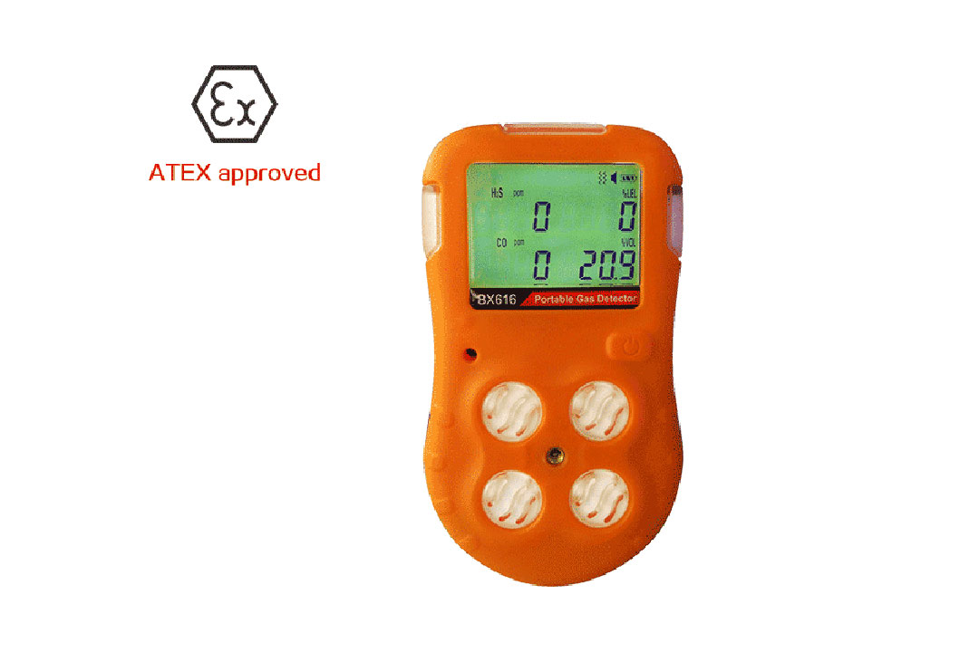 BX616 Portable Multi-gas Detector
