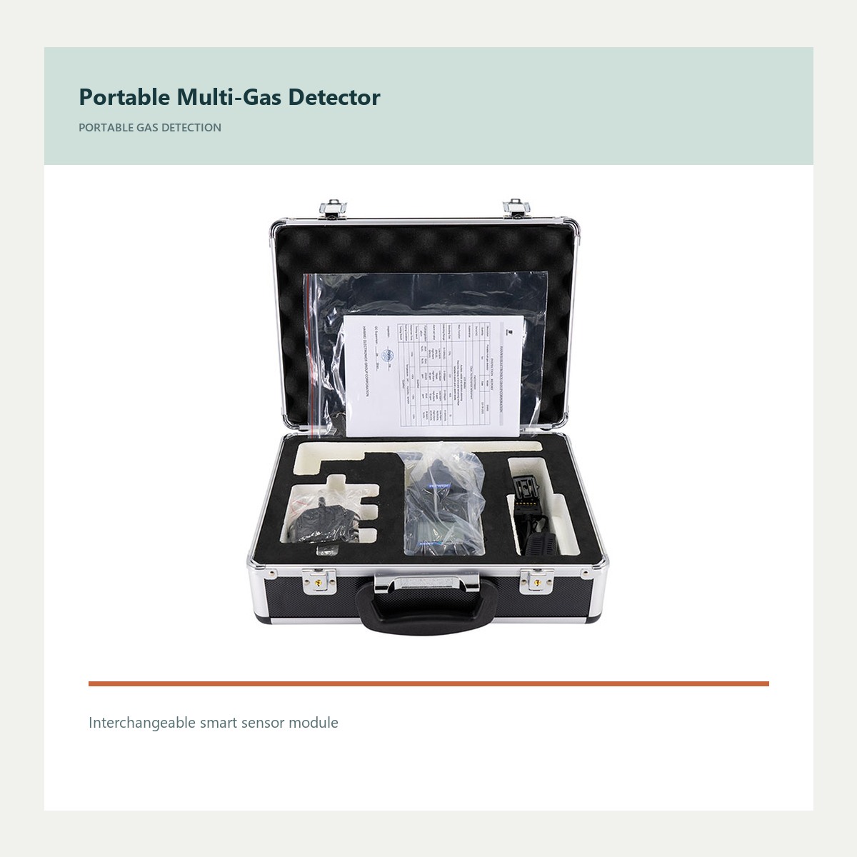 E4000 product view for portable gas detector manufacturer