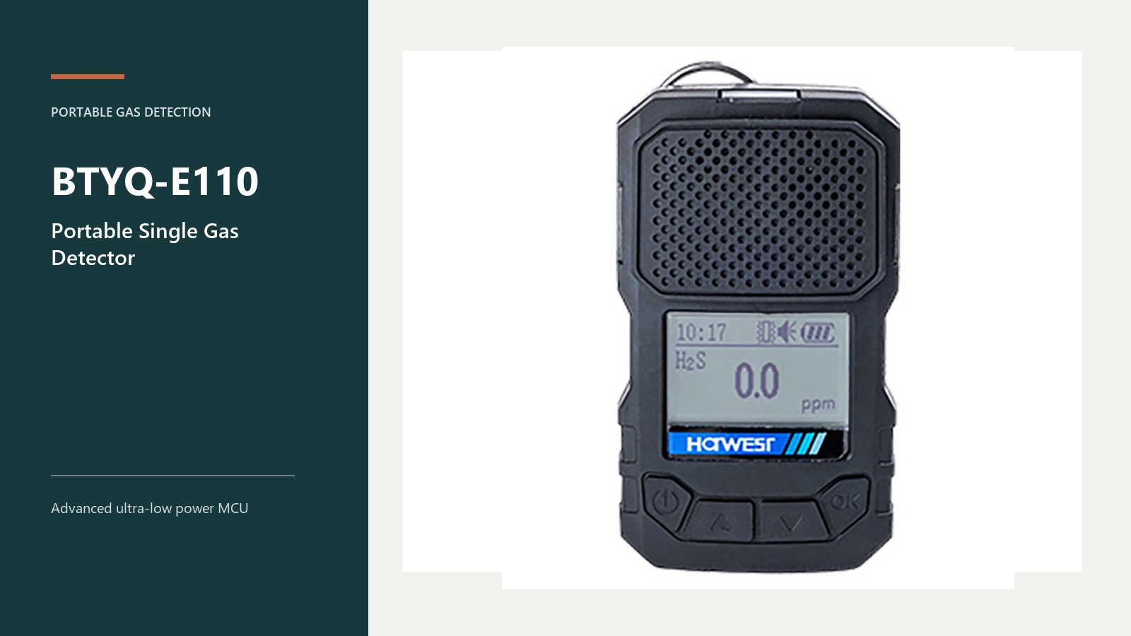 BTYQ-E110 Portable Single Gas Detector: Product Facts and Selection Questions