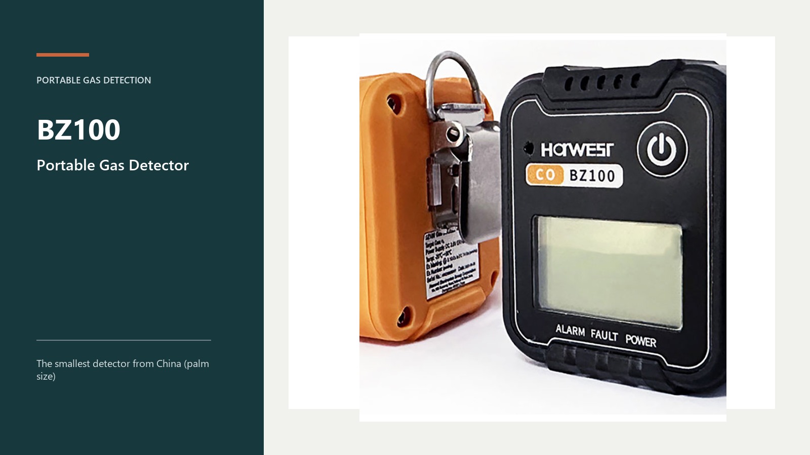 BZ100 Portable Single Gas Detector: Supplier Selection Brief