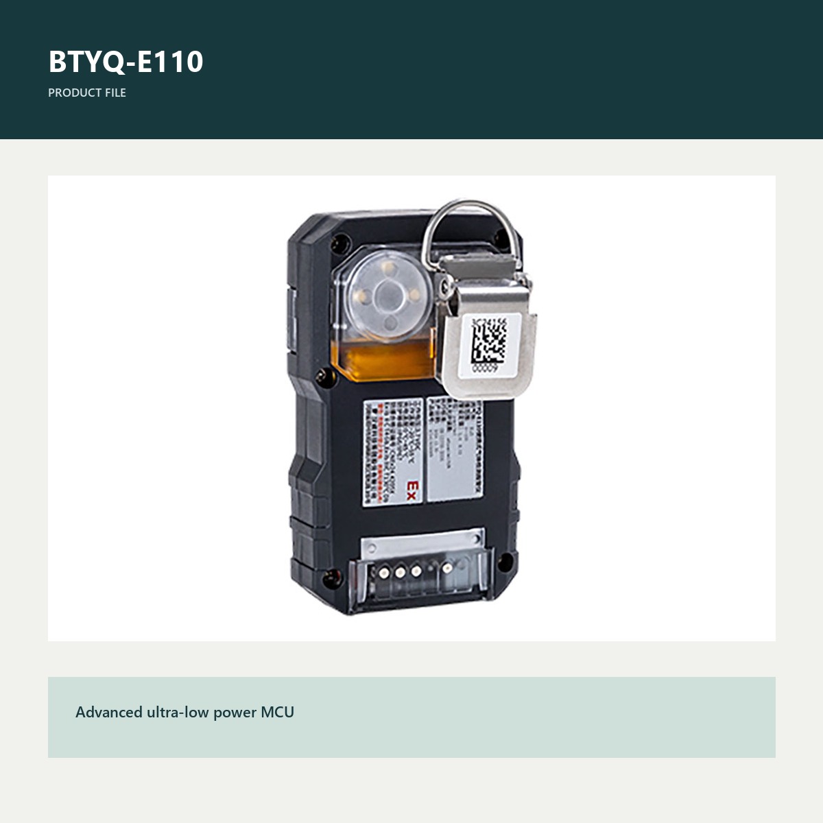 BTYQ-E110 product view for portable gas detector with pump