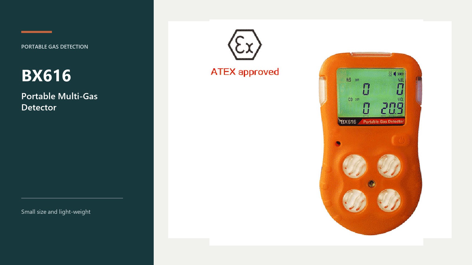 BX616 Portable Gas Detector With Adjustable Alarm Levels